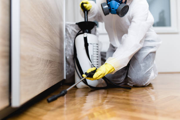 Best Residential Pest Control  in Colfax, CA