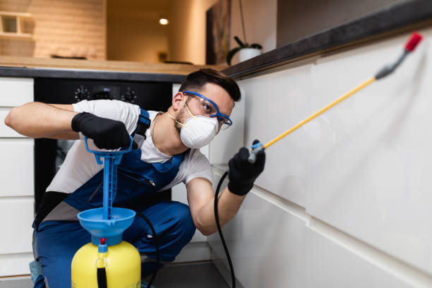 Best Ant Control Services  in Colfax, CA