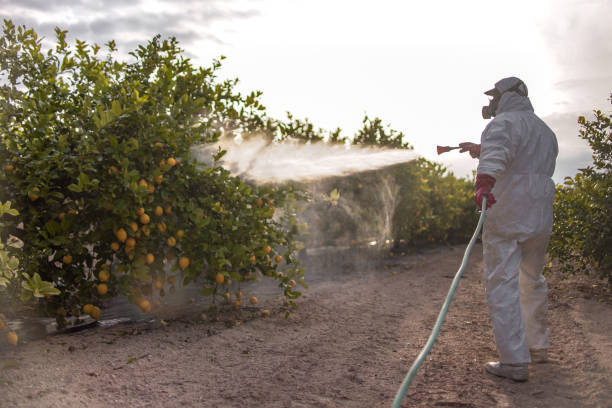 Colfax, CA Pest Control Company