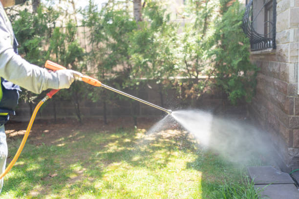 Best Insect Control  in Colfax, CA
