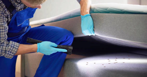 Best Pest Control Near Me  in Colfax, CA