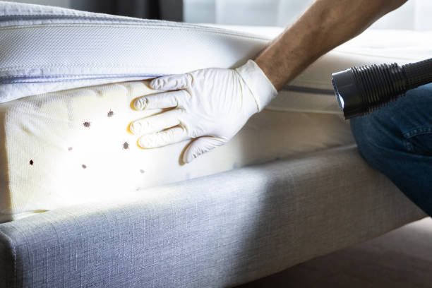 Best Best Pest Control Companies  in Colfax, CA